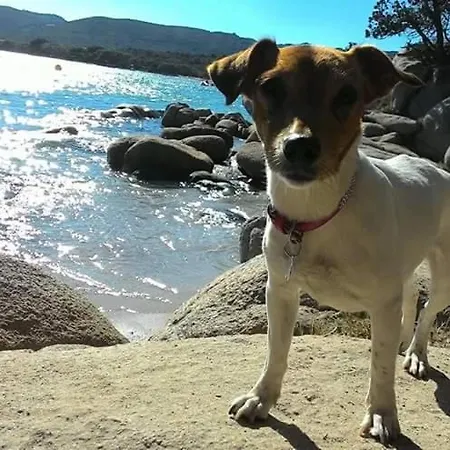 Da Laura